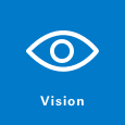 Chapter one - vision