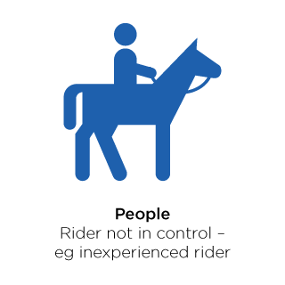 People not in control of the horse.