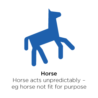 Horse asks unpredictably - eg horse not fit for purpose.