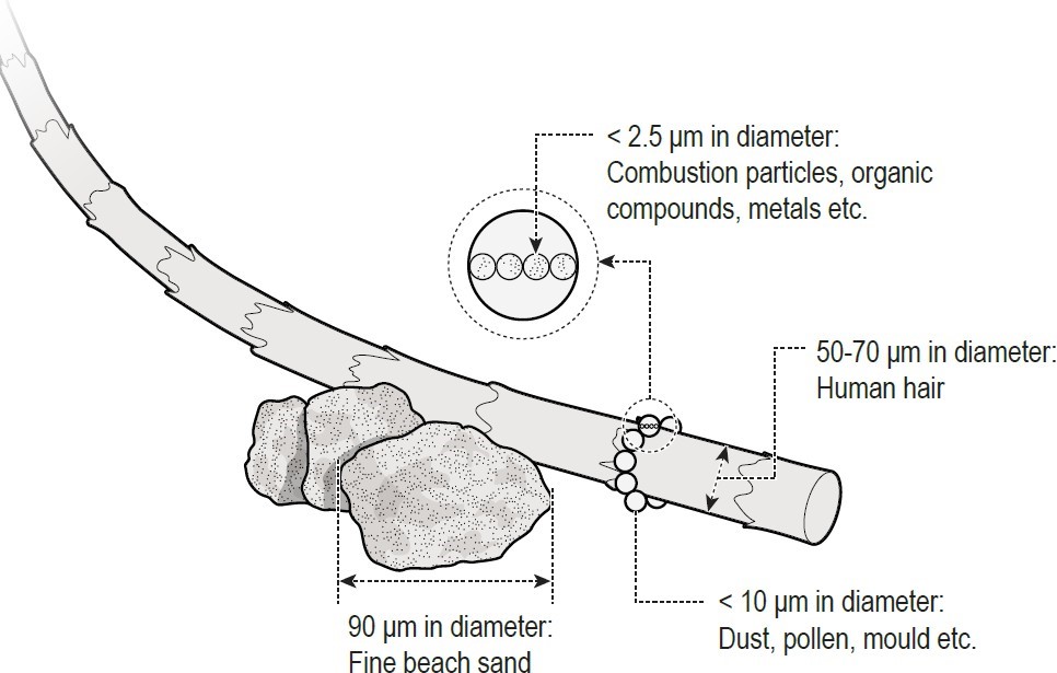 Figure 1: Figure 1: Dust particle sizes (original image from Mining and Quarrying Occupational Health and Safety Committee).