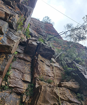 Looking up a cliff face with an abseiling rope