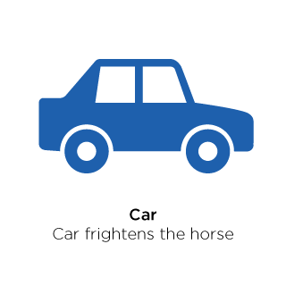 Horses frightened by a car