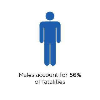 Males account for 60 percent of fatalities