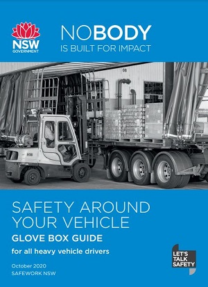 Cover image of SAYV globe box guide