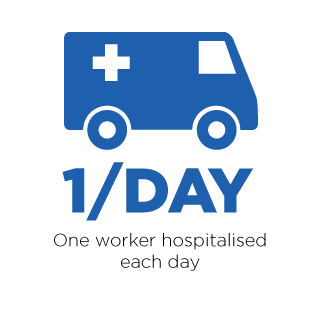 One worker hospitalised each day for a horse-related injury