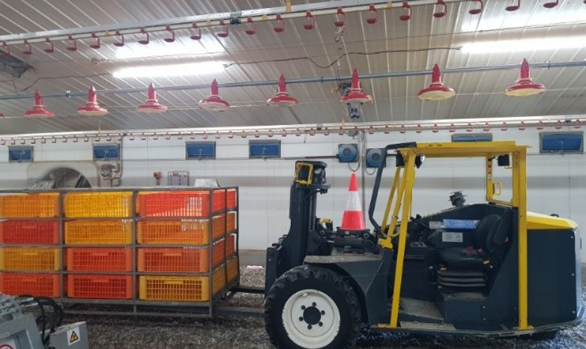 A forklift in a chicken shed